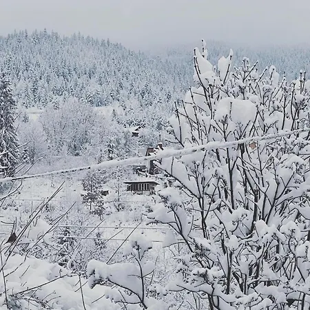 Pansiyon Zabava *
