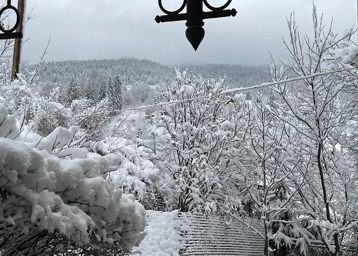Zabava * Jaremtsje