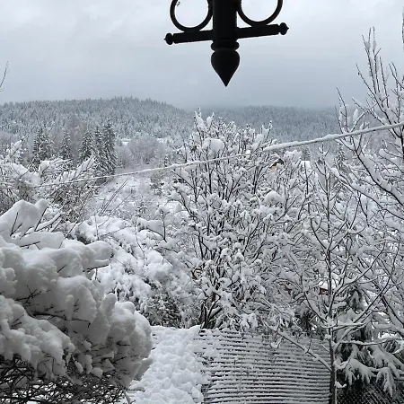 Zabava * Yaremche
