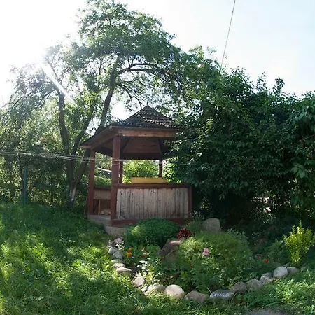 Zabava Yaremche